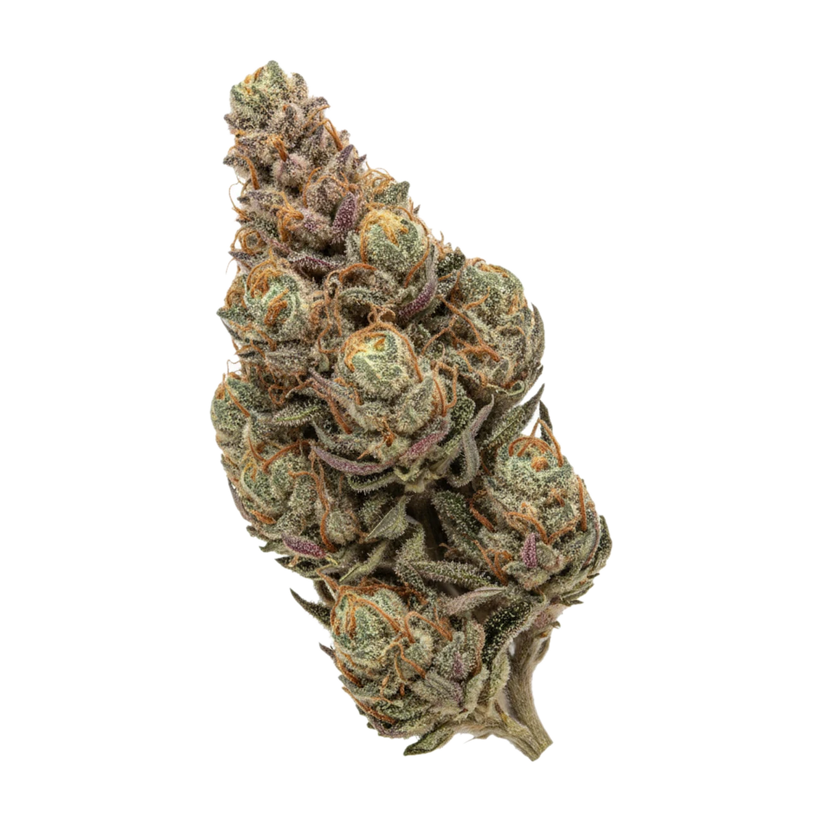 KI-generierte Illustration einer Cannabisblüte, zeigt nicht die tatsächliche Charge – DEMECAN PS Epic Drop 30/1 "Mintz Kush"