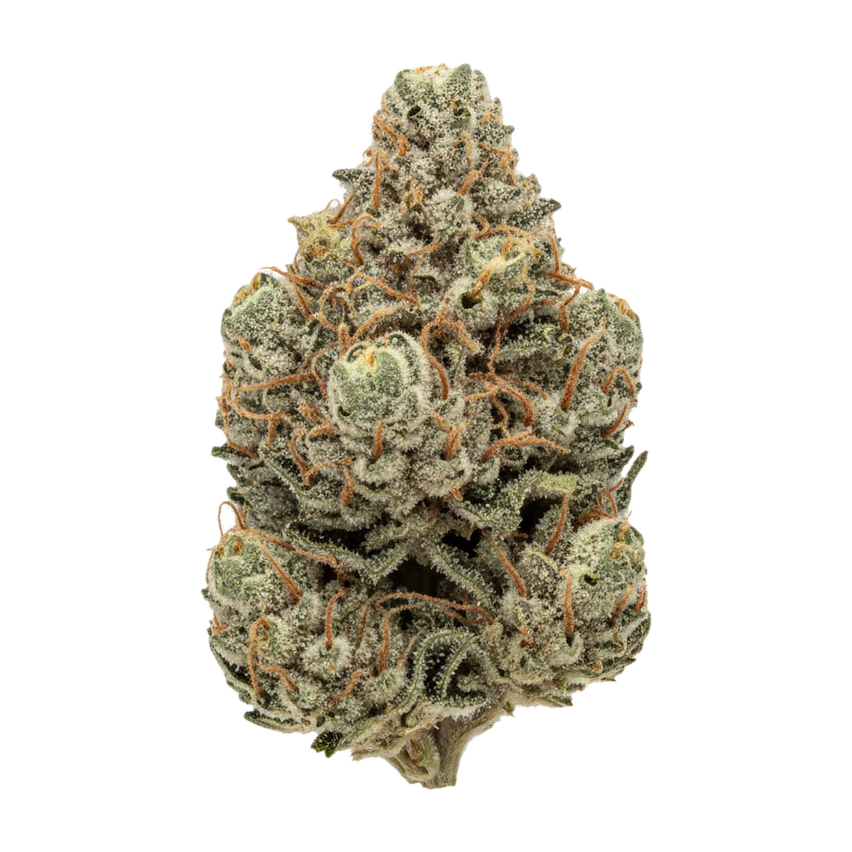 KI-generierte Illustration einer Cannabisblüte, zeigt nicht die tatsächliche Charge – DEMECAN PS "Animal Cookies x SinMint Cookies"