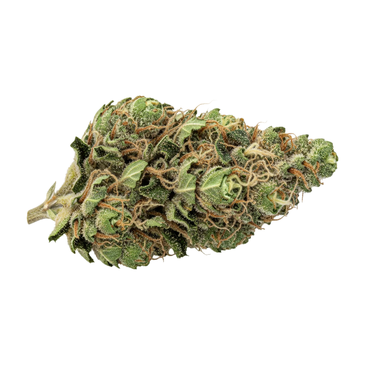 KI-generierte Illustration einer Cannabisblüte, zeigt nicht die tatsächliche Charge – enua 20/1 CDG "Crispy Doughnut"