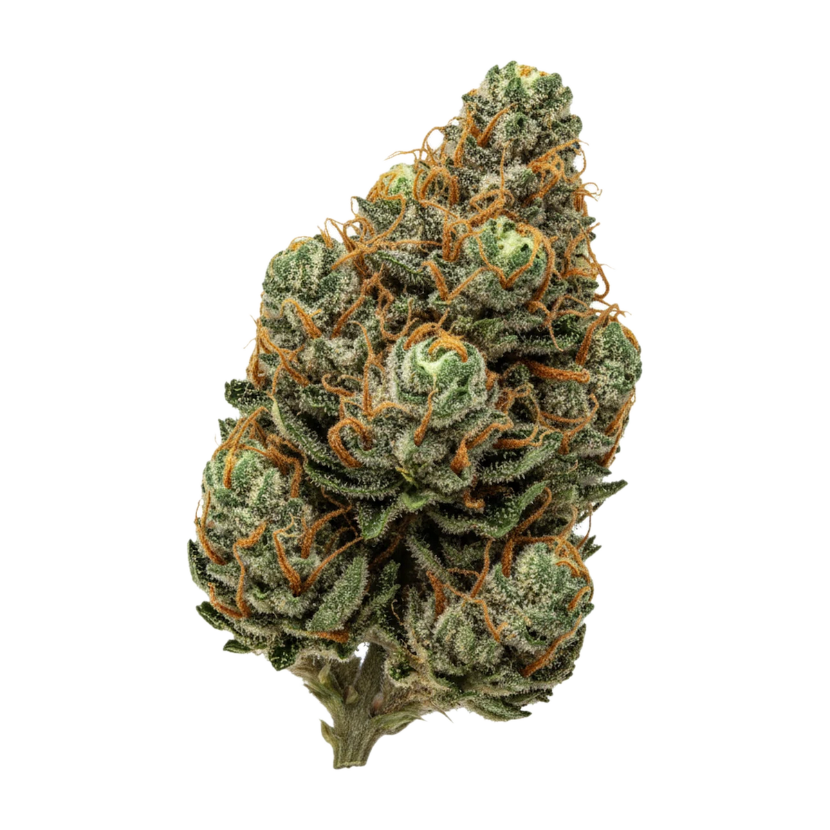 KI-generierte Illustration einer Cannabisblüte, zeigt nicht die tatsächliche Charge – enua 22/1 CCK CA "Cold Creek Kush"