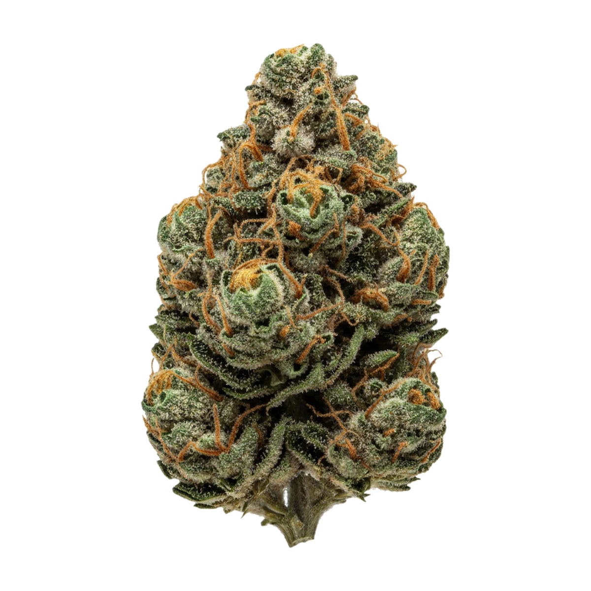 KI-generierte Illustration einer Cannabisblüte, zeigt nicht die tatsächliche Charge – enua 25/1 COZ "Cookies OZ"