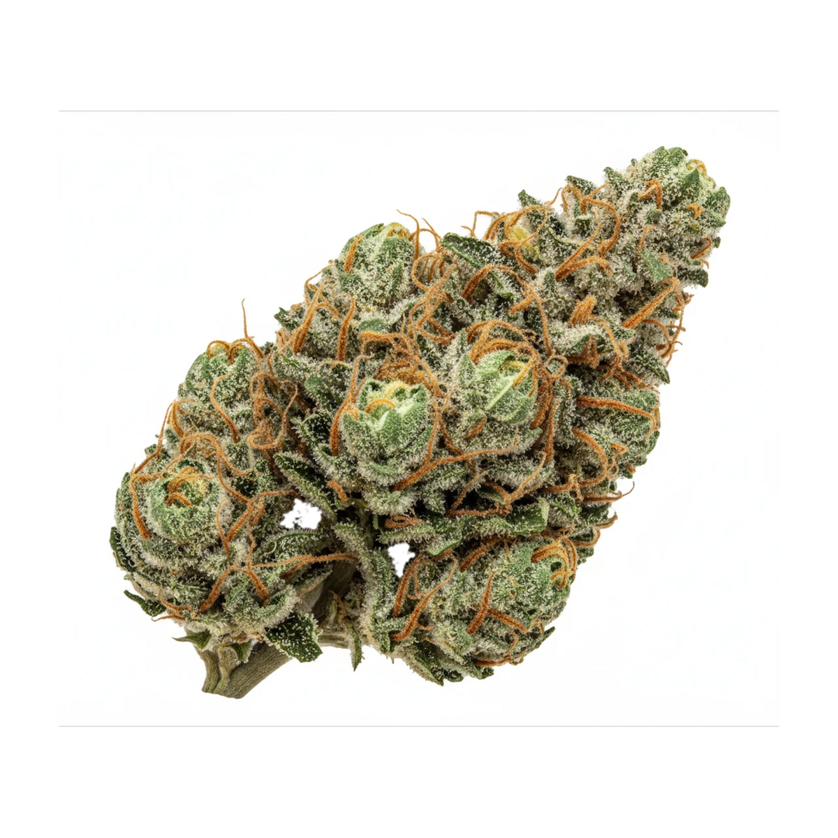 KI-generierte Illustration einer Cannabisblüte, zeigt nicht die tatsächliche Charge – enua 25/1 JFK "Jet Fuel Kush"