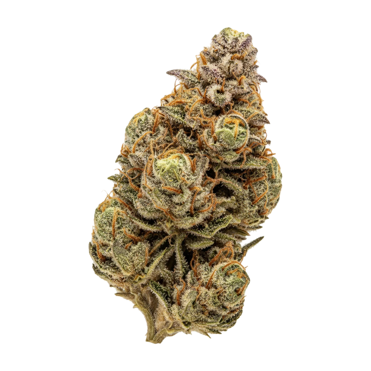 KI-generierte Illustration einer Cannabisblüte, zeigt nicht die tatsächliche Charge – enua 25/1 SC CA "Strawberry Cake"