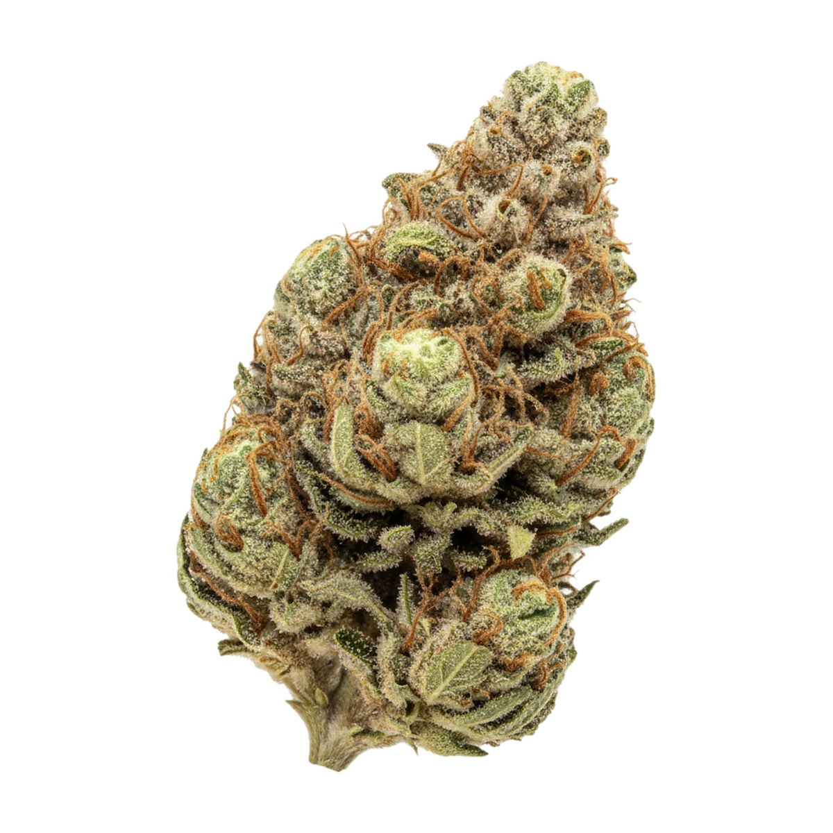 KI-generierte Illustration einer Cannabisblüte, zeigt nicht die tatsächliche Charge – enua 27/1 PS3 MYC "Minty Cookies"