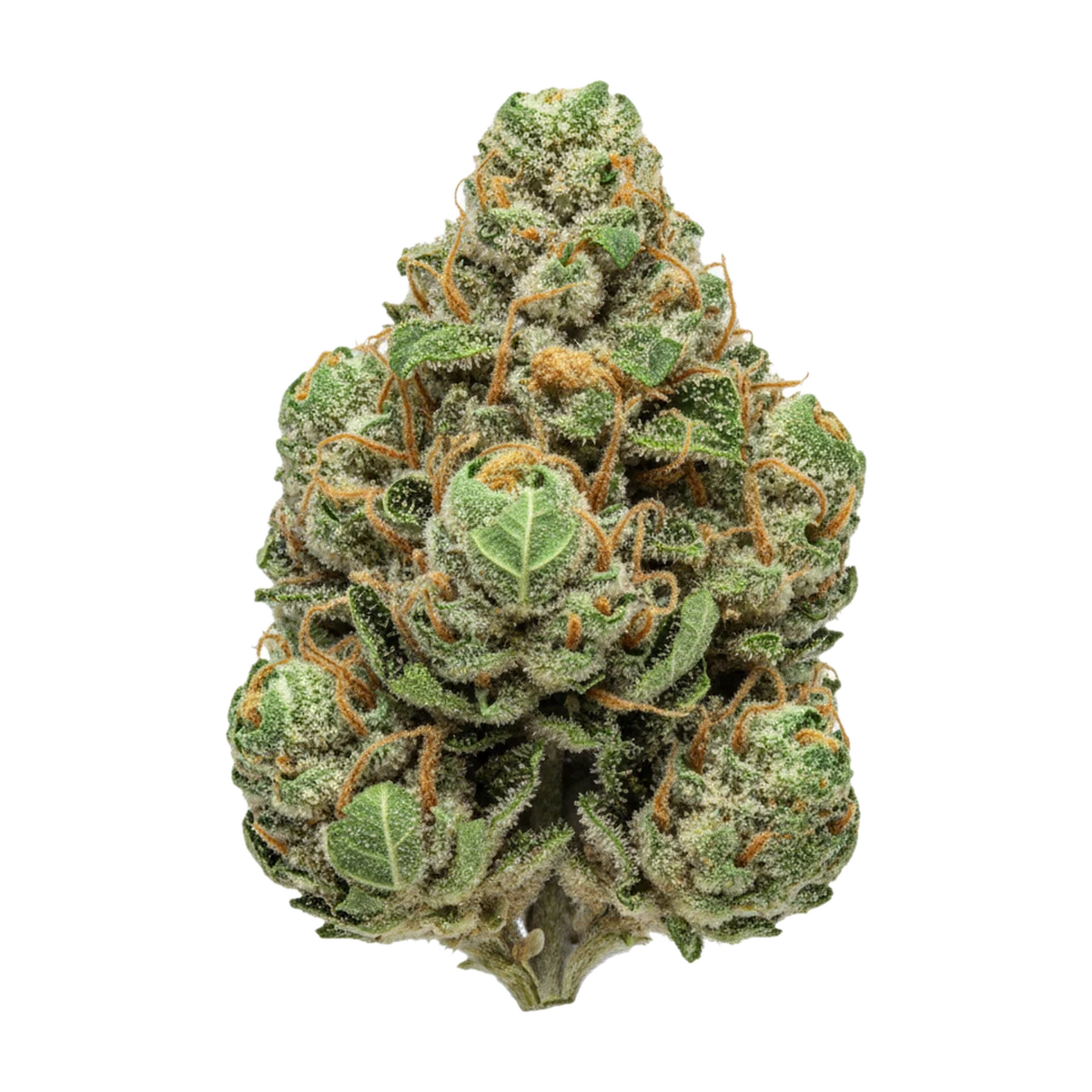 KI-generierte Illustration einer Cannabisblüte, zeigt nicht die tatsächliche Charge – Enua "Pink Kush"