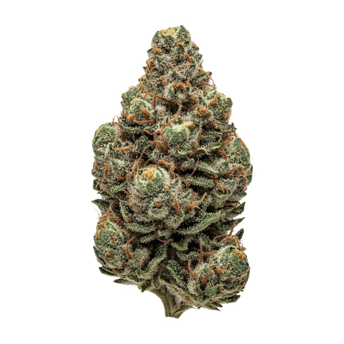 KI-generierte Illustration einer Cannabisblüte, zeigt nicht die tatsächliche Charge – enua 30/1 TPM "Tropical Meltdown"