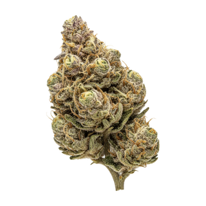 enua 33/1 JGF "Jungle Fumes"