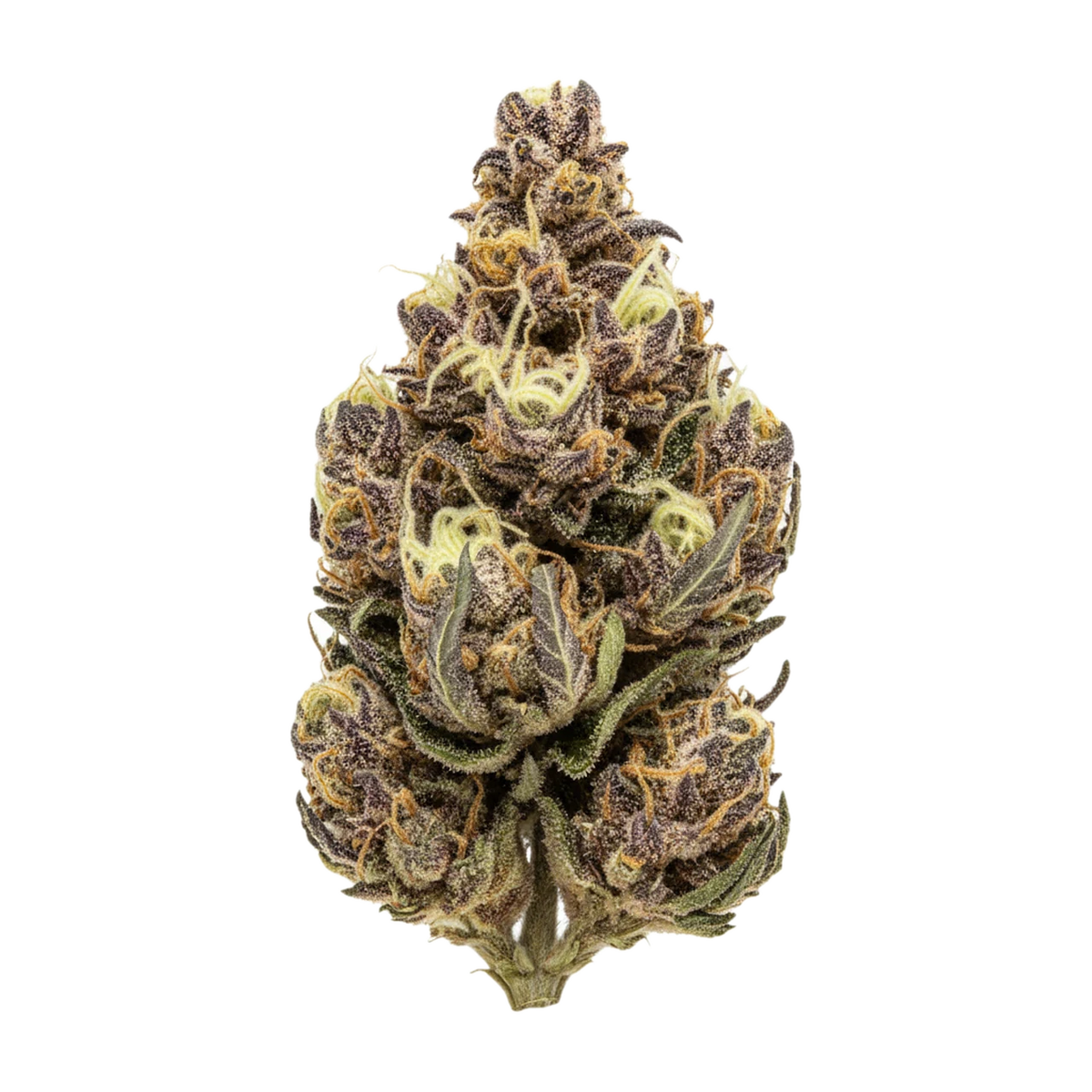 KI-generierte Illustration einer Cannabisblüte, zeigt nicht die tatsächliche Charge – enua 33/1 NLP "Northern Lime Pie"