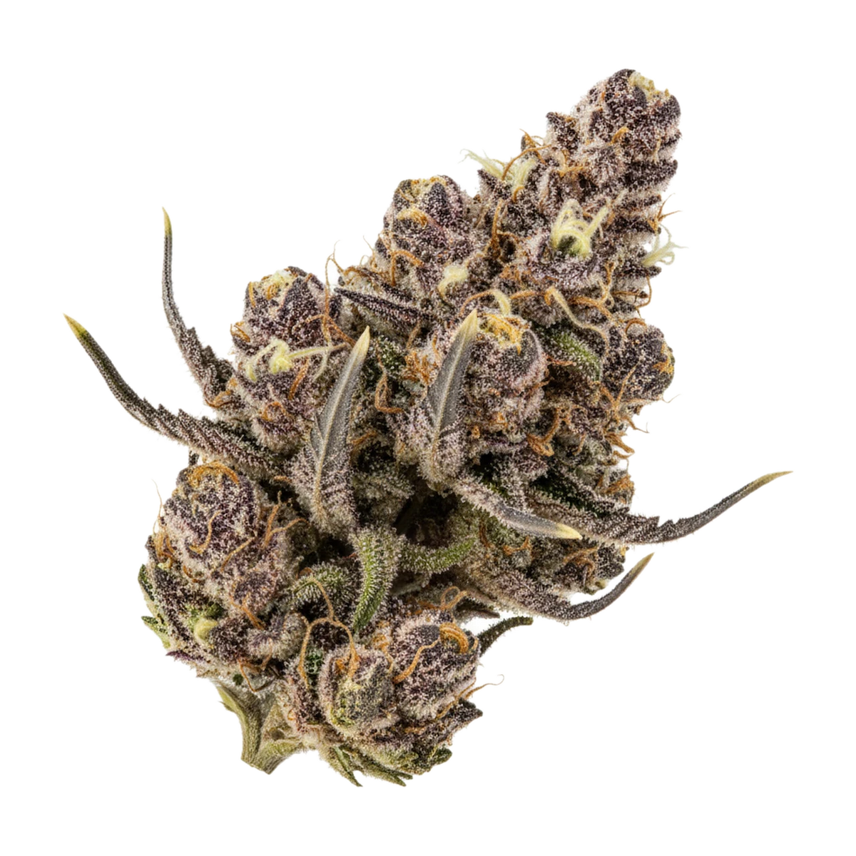 KI-generierte Illustration einer Cannabisblüte, zeigt nicht die tatsächliche Charge – frdm 30/1 MJK "Master Jack"