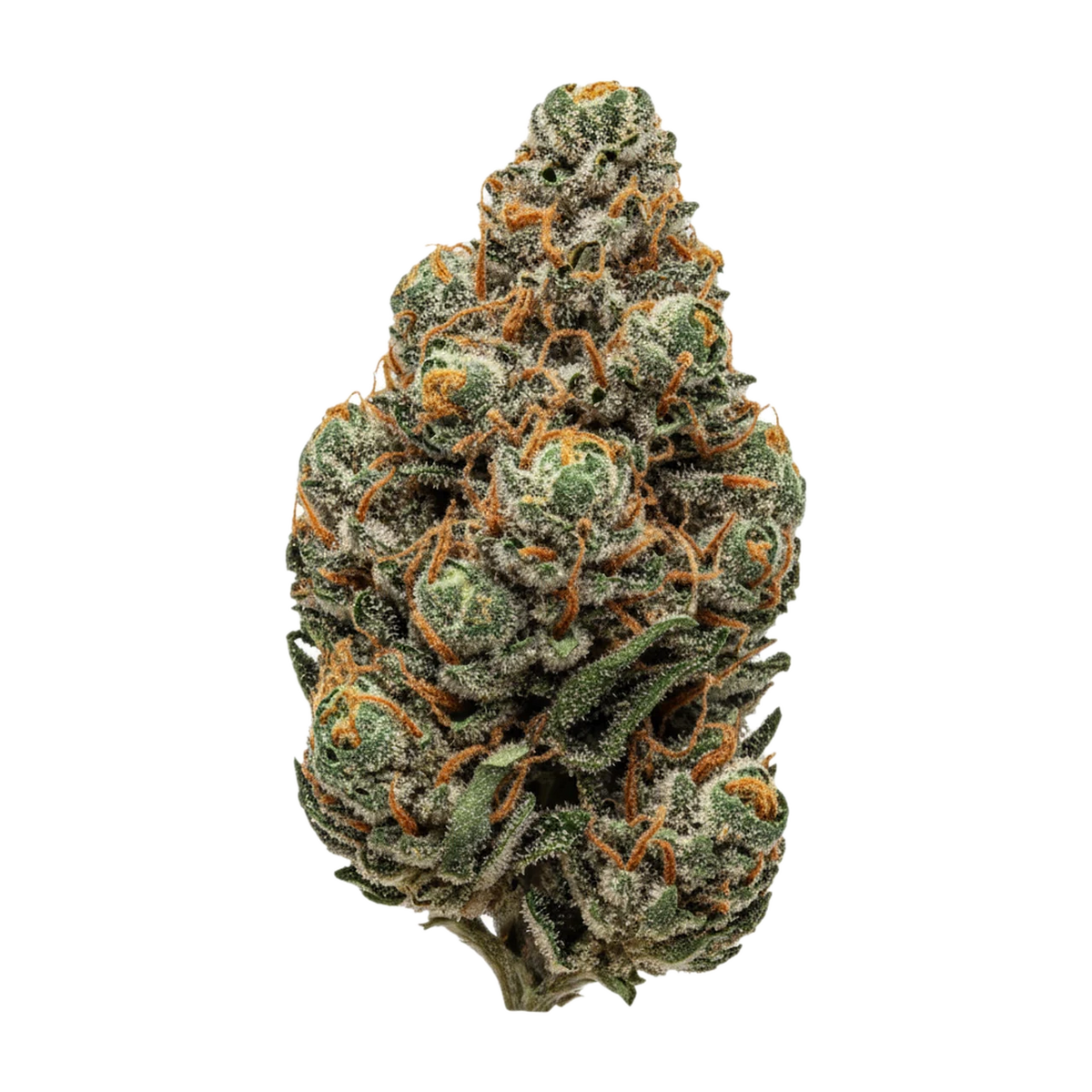 KI-generierte Illustration einer Cannabisblüte, zeigt nicht die tatsächliche Charge – gramz. 001 25/1 SB "Super Boof"