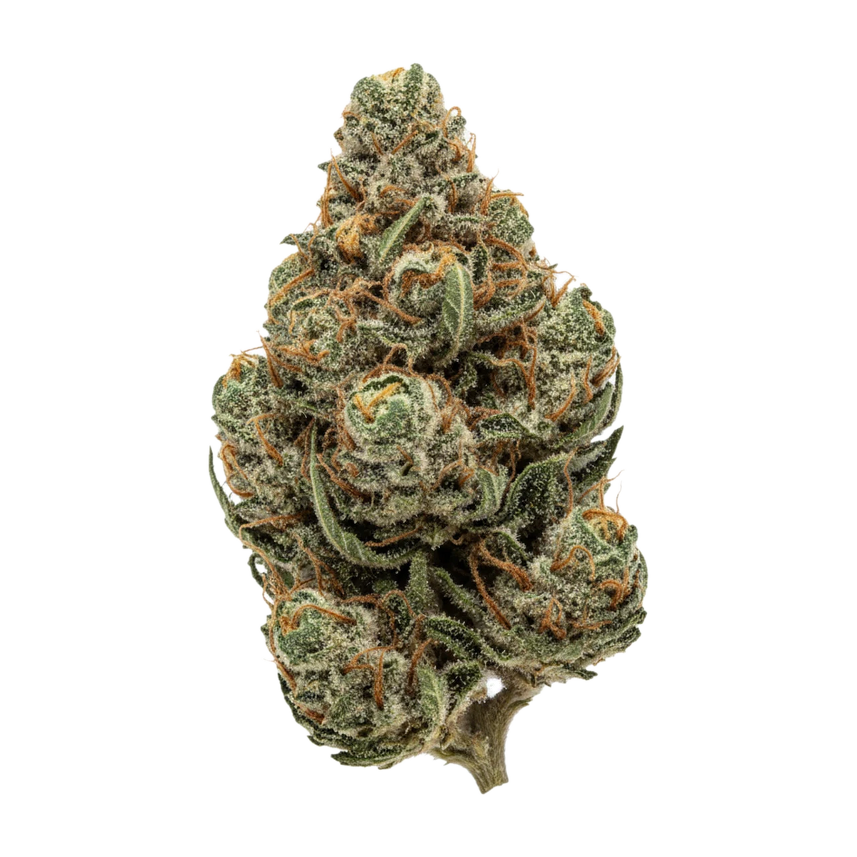 KI-generierte Illustration einer Cannabisblüte, zeigt nicht die tatsächliche Charge – Green Karat MG "Modified Gas"