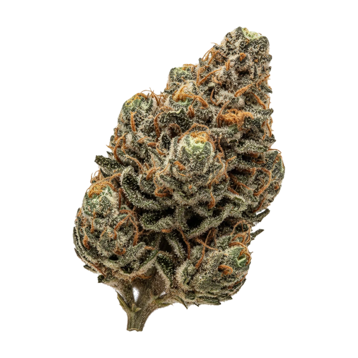 KI-generierte Illustration einer Cannabisblüte, zeigt nicht die tatsächliche Charge – Green Karat 30/1 RO "Runtz OG"