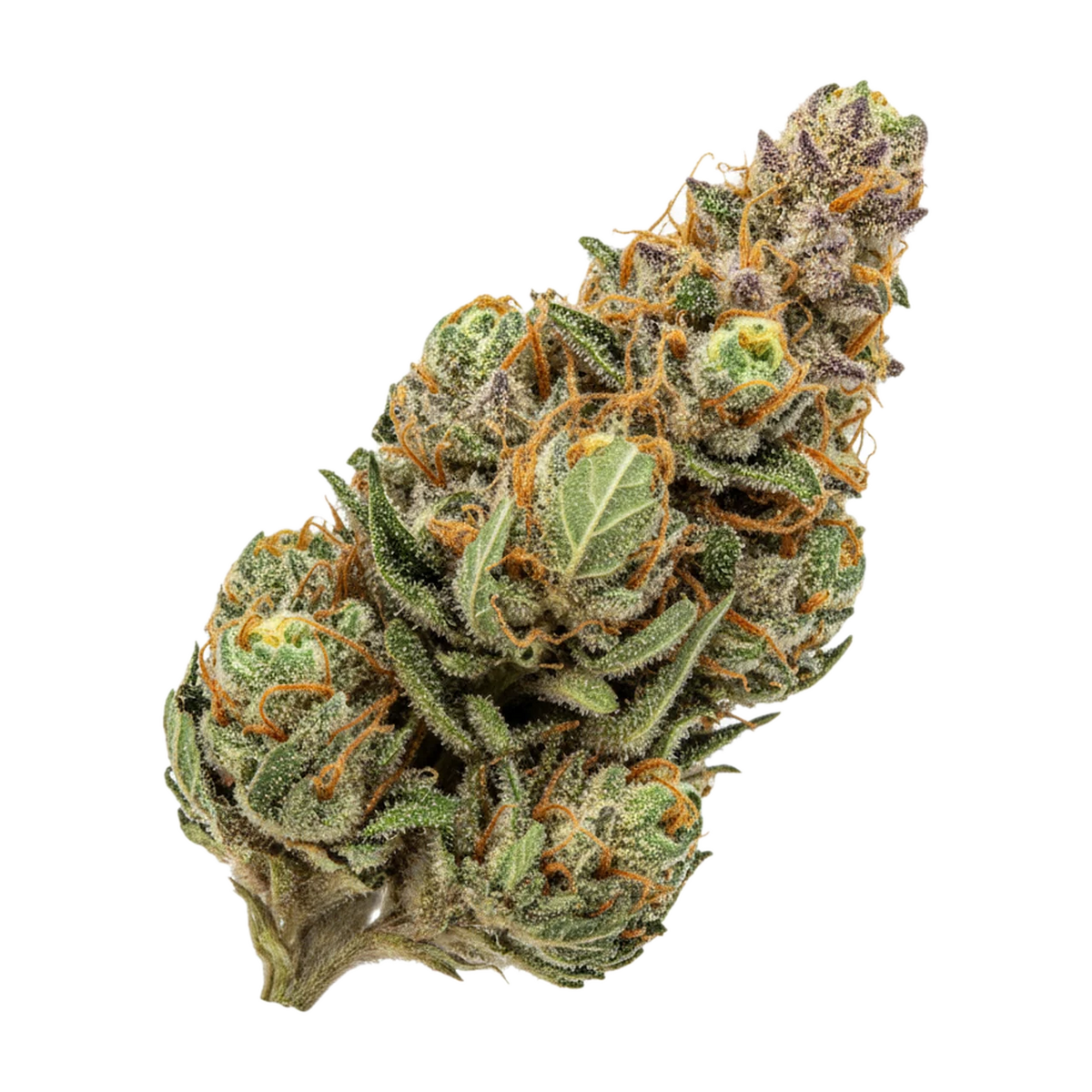 KI-generierte Illustration einer Cannabisblüte, zeigt nicht die tatsächliche Charge – Greenseal 33/1 SGU "Strawberry Guava"