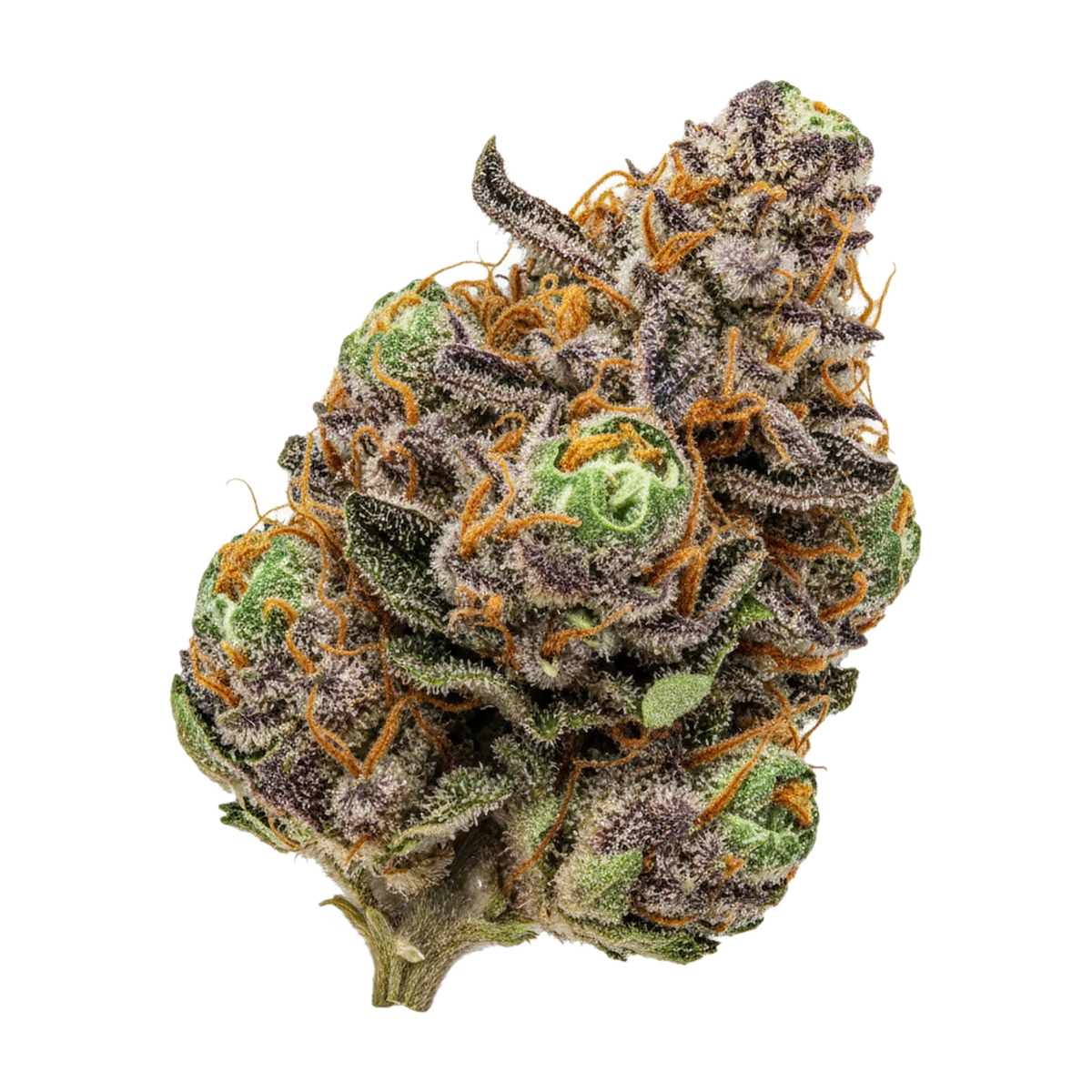 KI-generierte Illustration einer Cannabisblüte, zeigt nicht die tatsächliche Charge – GrowMotion 22/1 ICC "Ice Cream Cake x Kush Mints"