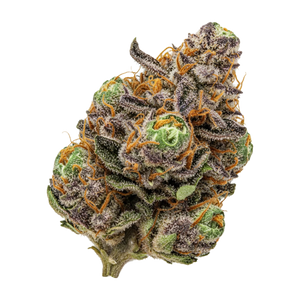 GrowMotion 22/1 ICC "Ice Cream Cake x Kush Mints"