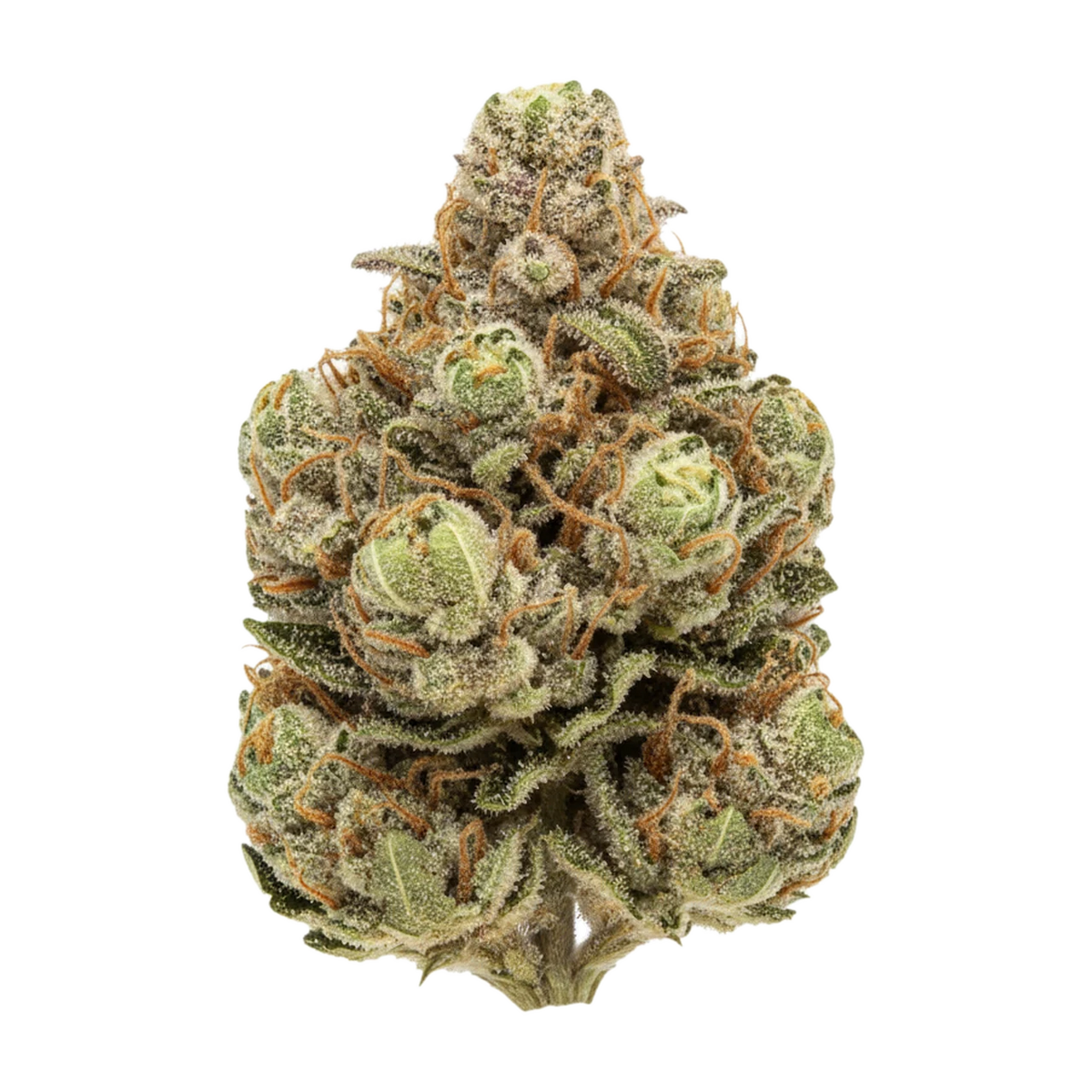 KI-generierte Illustration einer Cannabisblüte, zeigt nicht die tatsächliche Charge – Growmotion 27/1 TJ "Tricho Jordan"