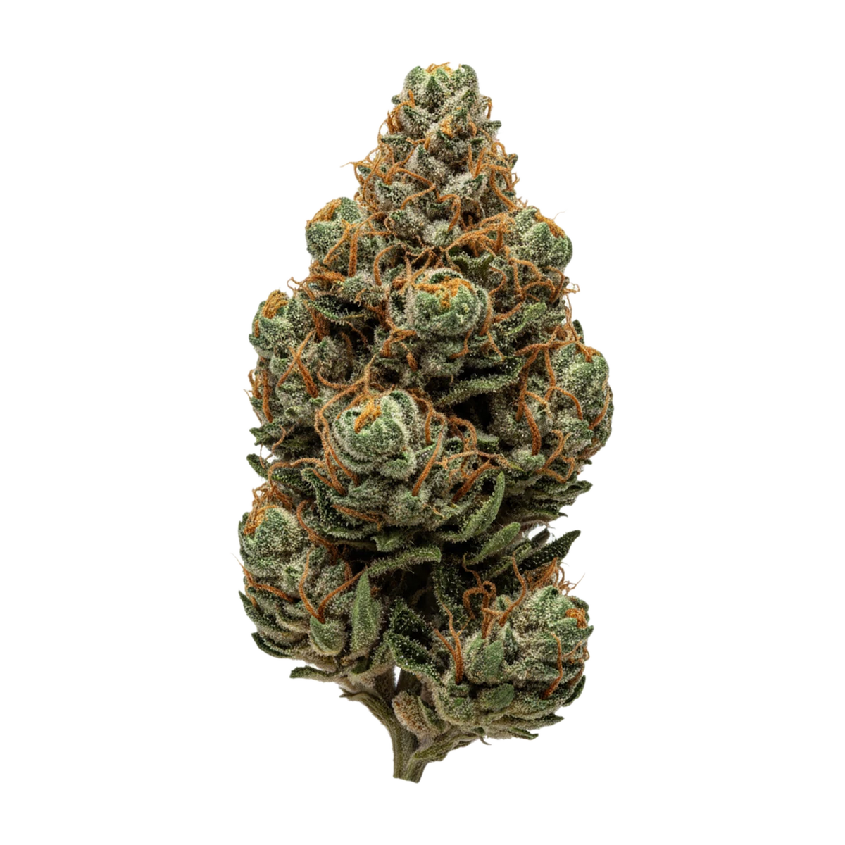 KI-generierte Illustration einer Cannabisblüte, zeigt nicht die tatsächliche Charge – Hexa 23/1 LKC "LA Kush Cake"