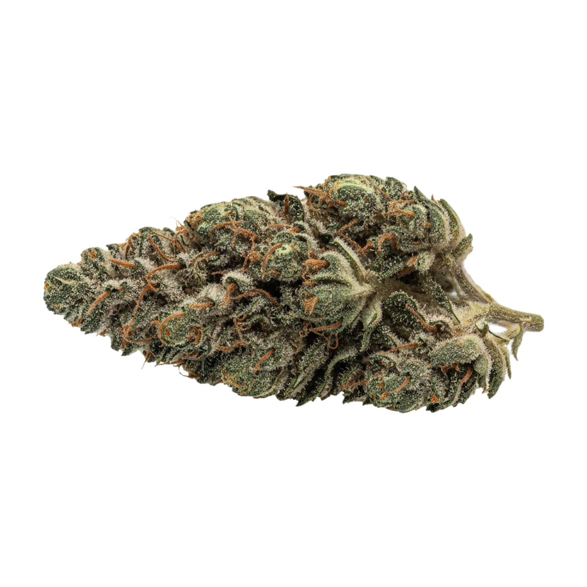 KI-generierte Illustration einer Cannabisblüte, zeigt nicht die tatsächliche Charge – Hi Society 30/1 CAN UJA "Ultra Jack"