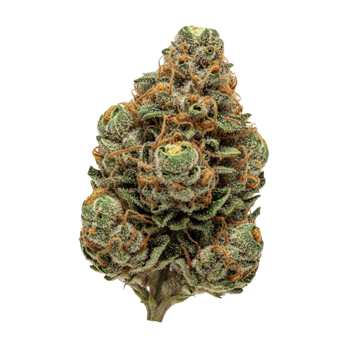 KI-generierte Illustration einer Cannabisblüte, zeigt nicht die tatsächliche Charge – HiSociety 27/1 CAN DEB "Deep Breath"