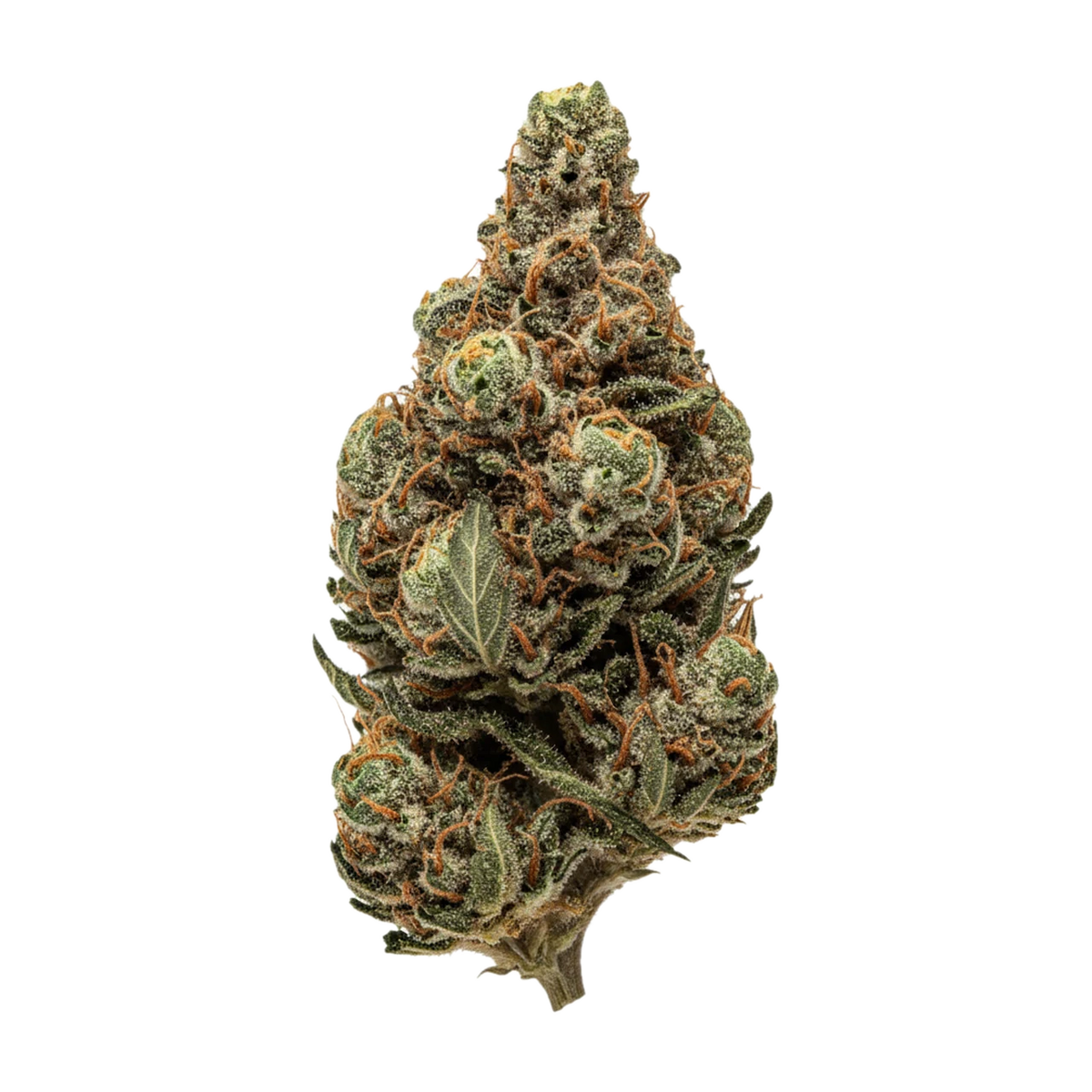 KI-generierte Illustration einer Cannabisblüte, zeigt nicht die tatsächliche Charge – Huala 22/1 C47 "Critical 47"