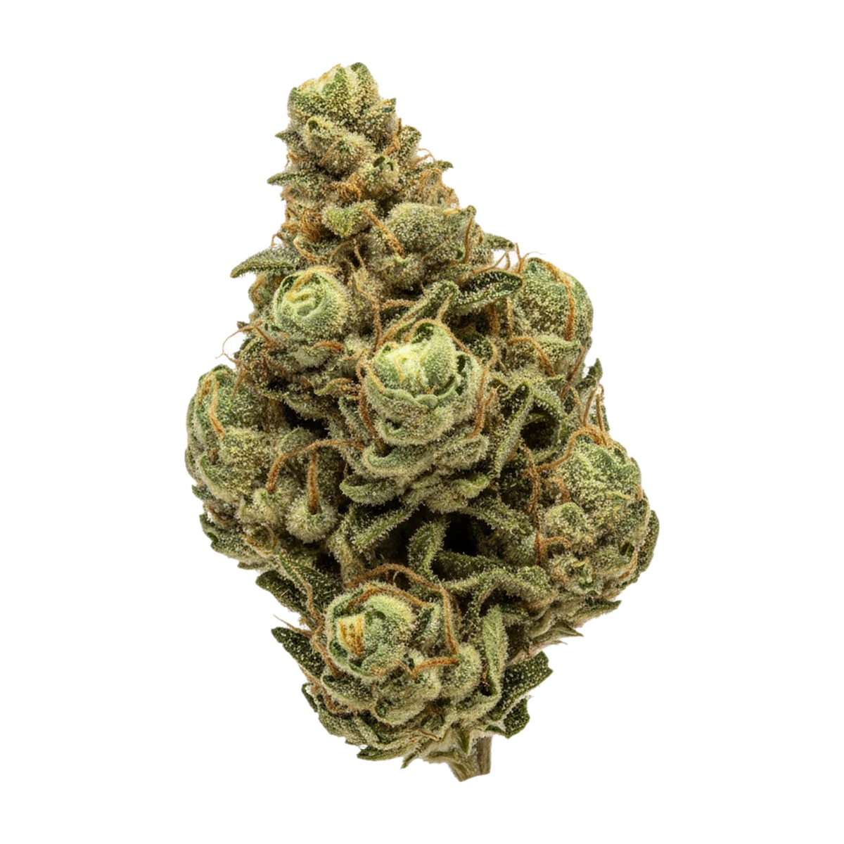 KI-generierte Illustration einer Cannabisblüte, zeigt nicht die tatsächliche Charge – Huala 22/1 GVZ "Guavaz"