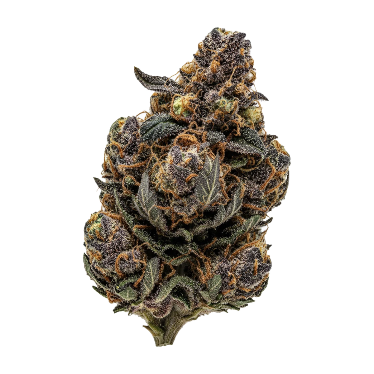 KI-generierte Illustration einer Cannabisblüte, zeigt nicht die tatsächliche Charge – Huala 25/1 OCT "Purple Octane"