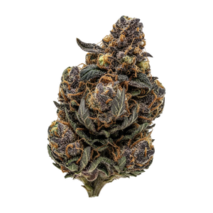 Huala 25/1 OCT "Purple Octane"