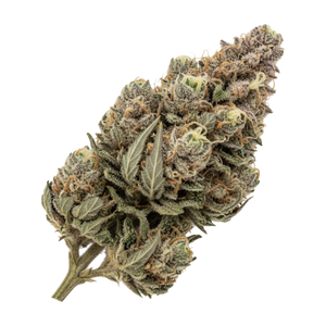 Huala 25/1 TRM "Triangle Mints"
