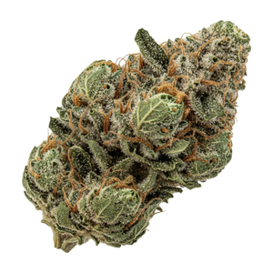 Huala 25/1 WTR "Waffle Truffle"