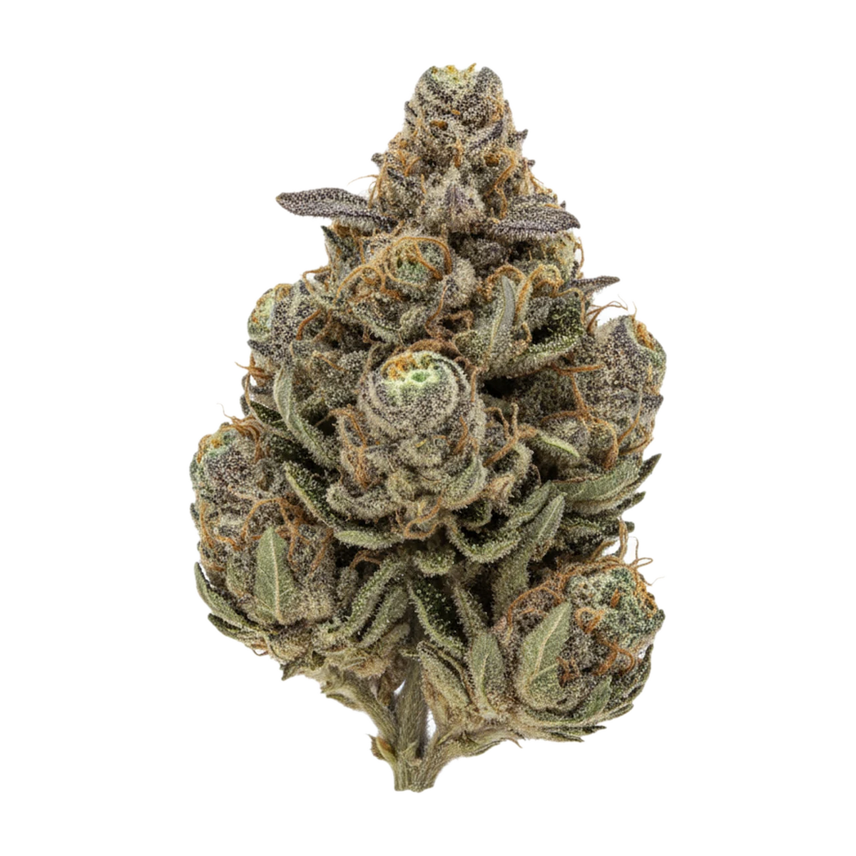 KI-generierte Illustration einer Cannabisblüte, zeigt nicht die tatsächliche Charge – Huala 27/1 BDL "Bakers Delight"