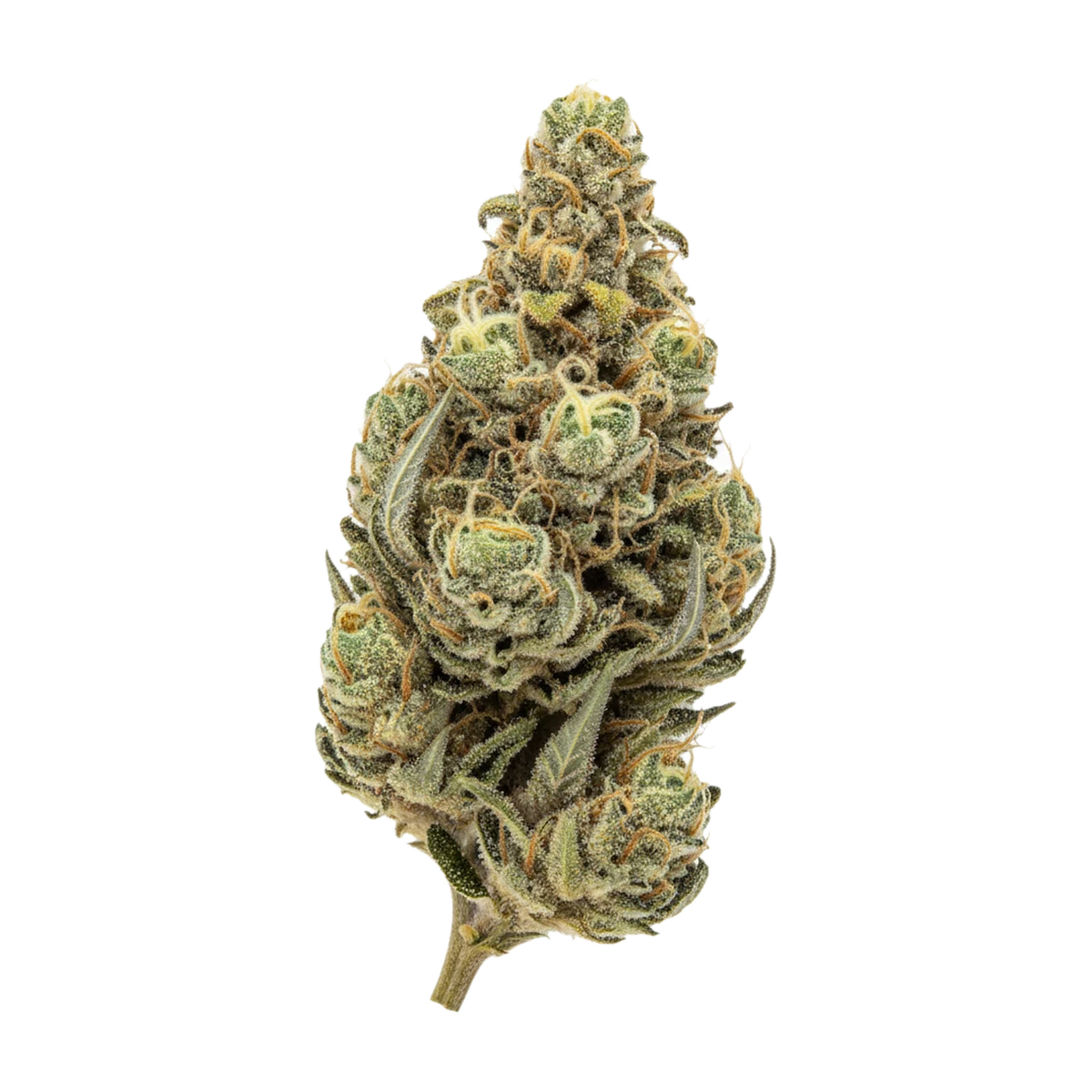 KI-generierte Illustration einer Cannabisblüte, zeigt nicht die tatsächliche Charge – Huala 27/1 GLE "Gas Leak"