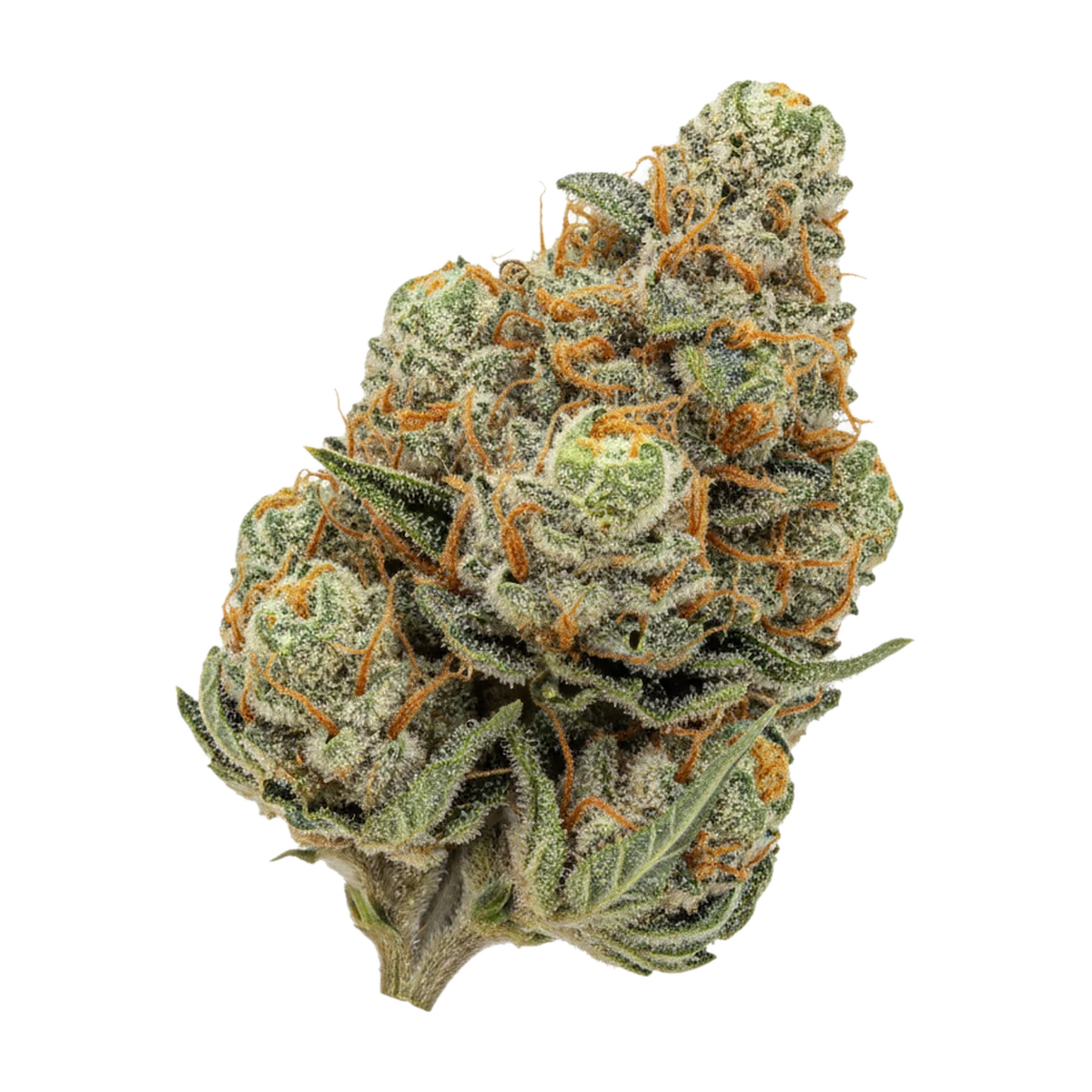 KI-generierte Illustration einer Cannabisblüte, zeigt nicht die tatsächliche Charge – Nova CheChe 33/1 "Cheddar Cheese"