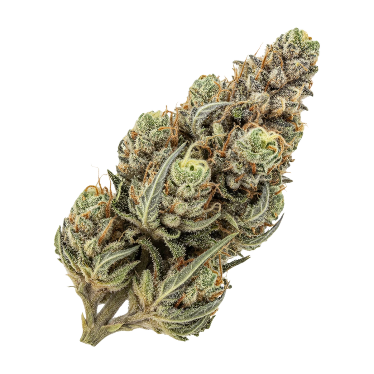 KI-generierte Illustration einer Cannabisblüte, zeigt nicht die tatsächliche Charge – Huala 30/1 ALM "Alien Mints"