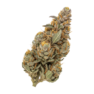 Huala 30/1 BKM "Banana Kush Mints"