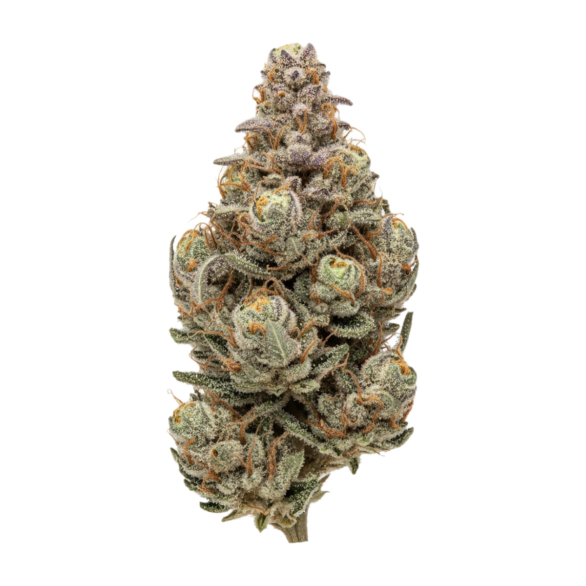 KI-generierte Illustration einer Cannabisblüte, zeigt nicht die tatsächliche Charge – Huala 30/1 DBC "Durban Cherry"