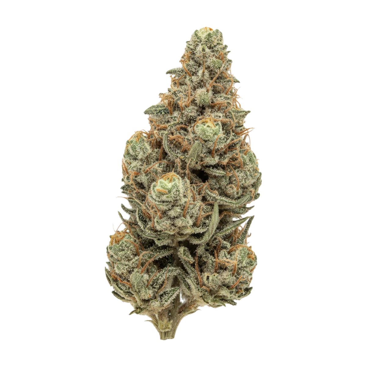 KI-generierte Illustration einer Cannabisblüte, zeigt nicht die tatsächliche Charge – Huala 30/1 GOL "Goldkirsch"