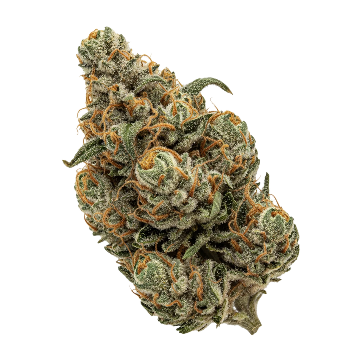 KI-generierte Illustration einer Cannabisblüte, zeigt nicht die tatsächliche Charge – IMC 25/1 RWT "White Rhino"