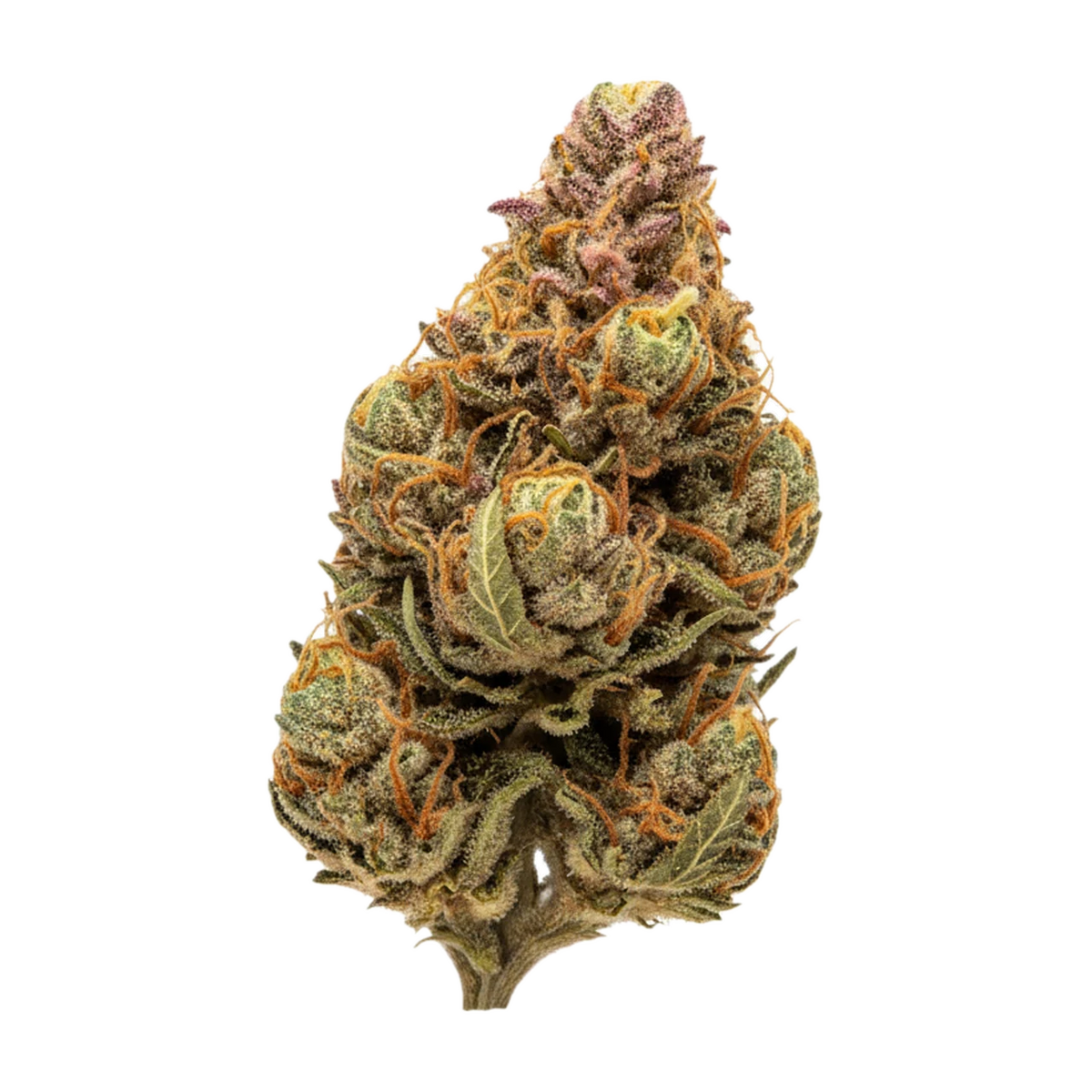 KI-generierte Illustration einer Cannabisblüte, zeigt nicht die tatsächliche Charge – Indimed 20/1 ISS "Island Sweet Skunk"