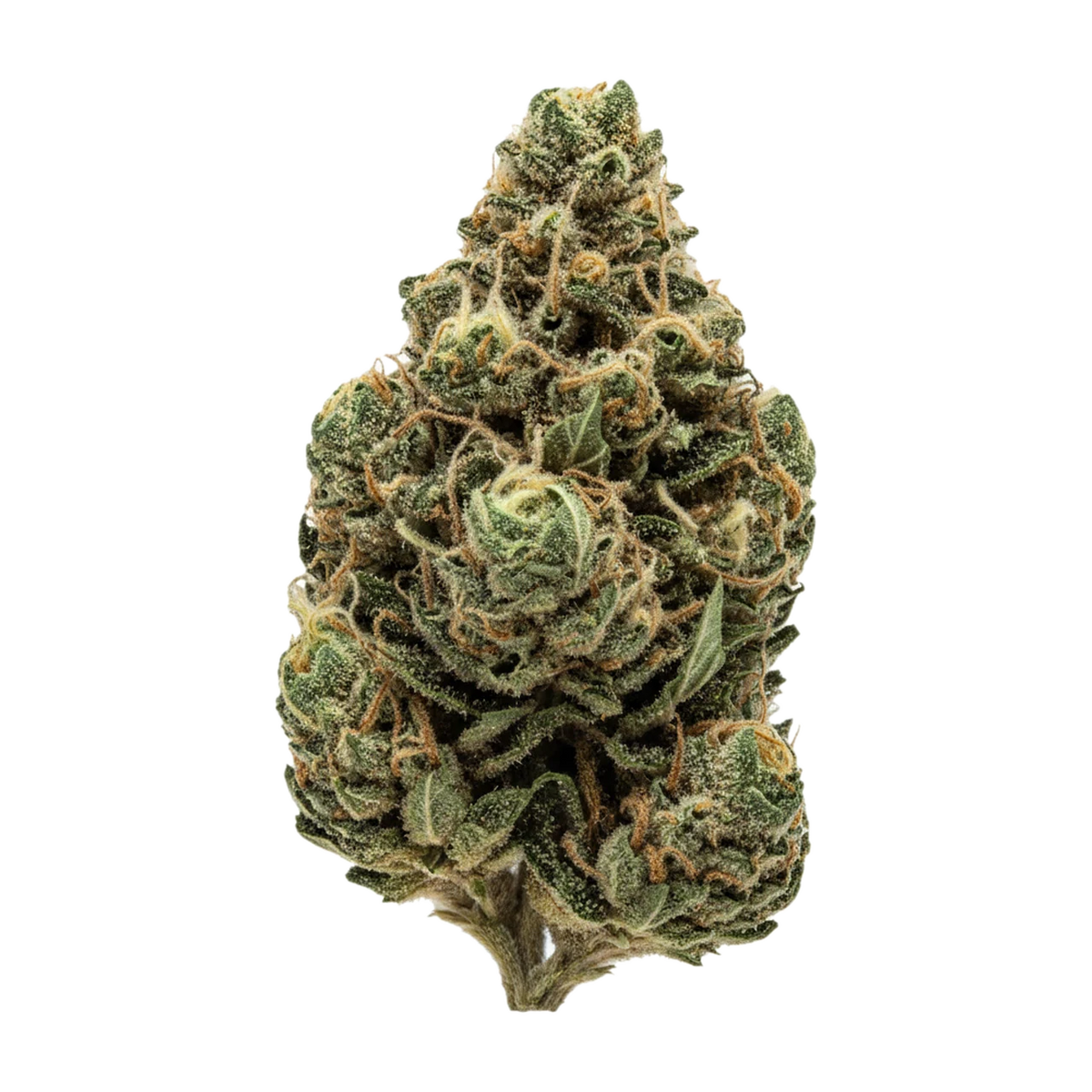 KI-generierte Illustration einer Cannabisblüte, zeigt nicht die tatsächliche Charge – IUVO 20/1 OC "Killer Cupcake"