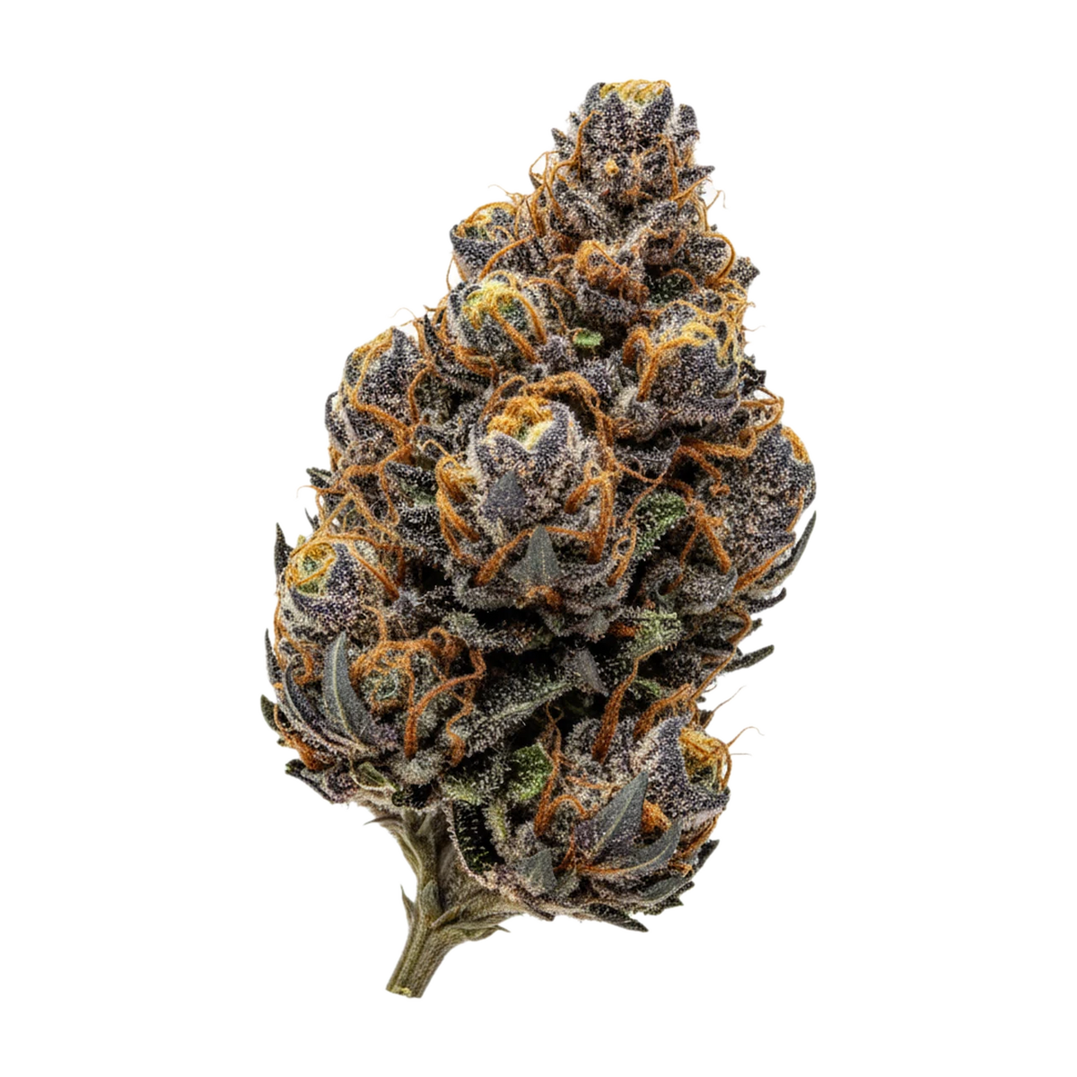 KI-generierte Illustration einer Cannabisblüte, zeigt nicht die tatsächliche Charge – J.R. Strain PM 30/1 "Purple Marker"