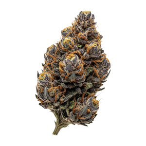 J.R. Strain PM 30/1 "Purple Marker"