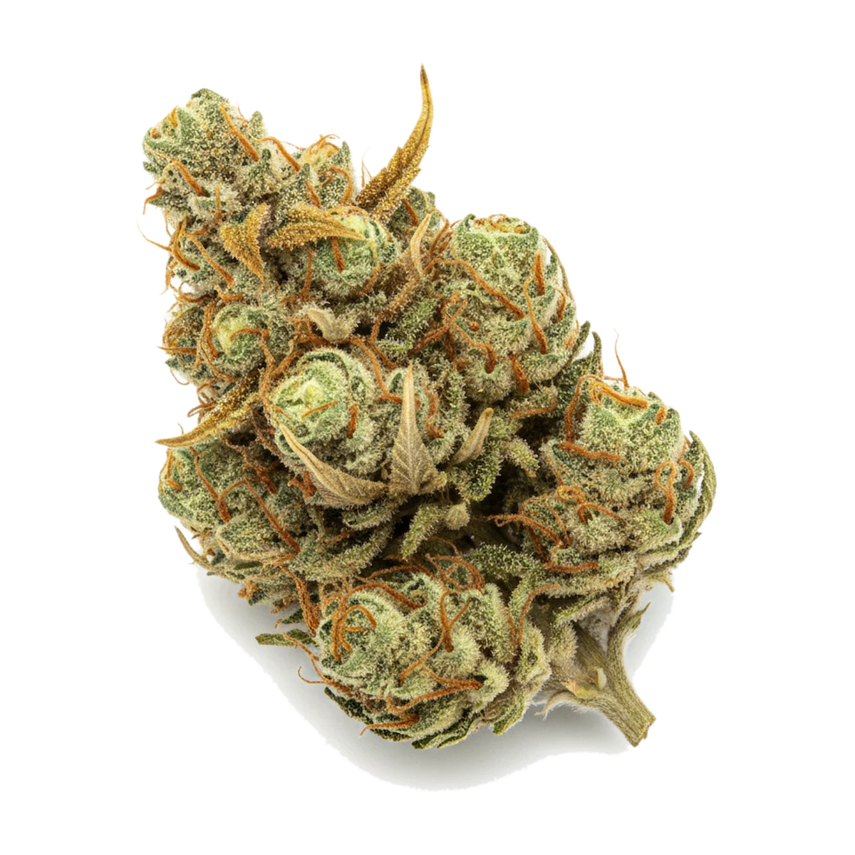 KI-generierte Illustration einer Cannabisblüte, zeigt nicht die tatsächliche Charge – Kana Craft 30/1 BAC "Banana Cake"