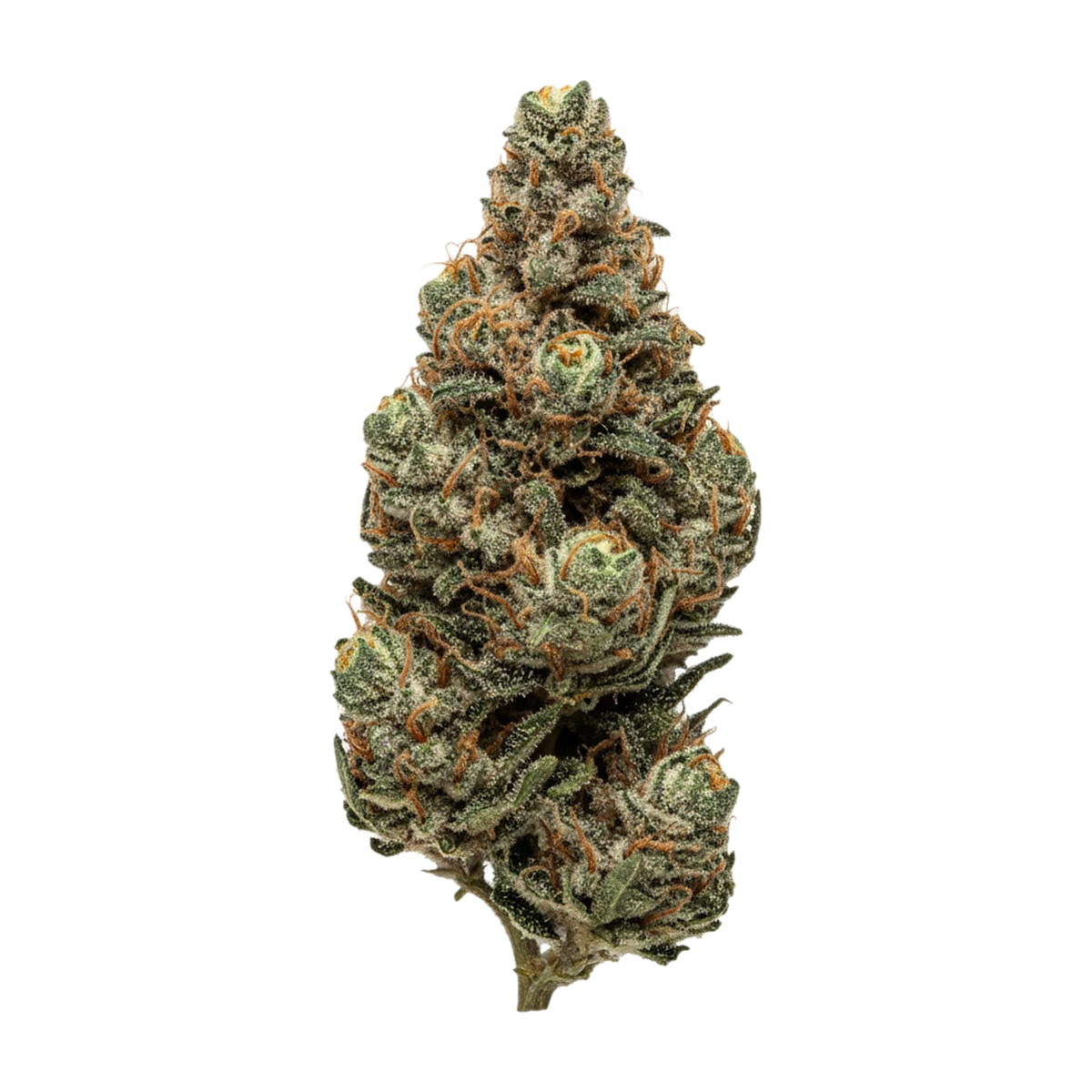 KI-generierte Illustration einer Cannabisblüte, zeigt nicht die tatsächliche Charge – Legend's RP 34/1 "Rainbow Pavé"