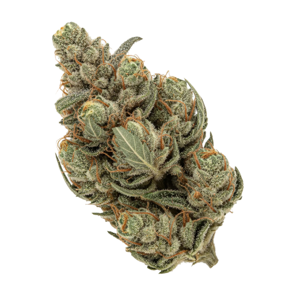 KI-generierte Illustration einer Cannabisblüte, zeigt nicht die tatsächliche Charge – LOT 420 25/1 GLT PT "Gelato 33"