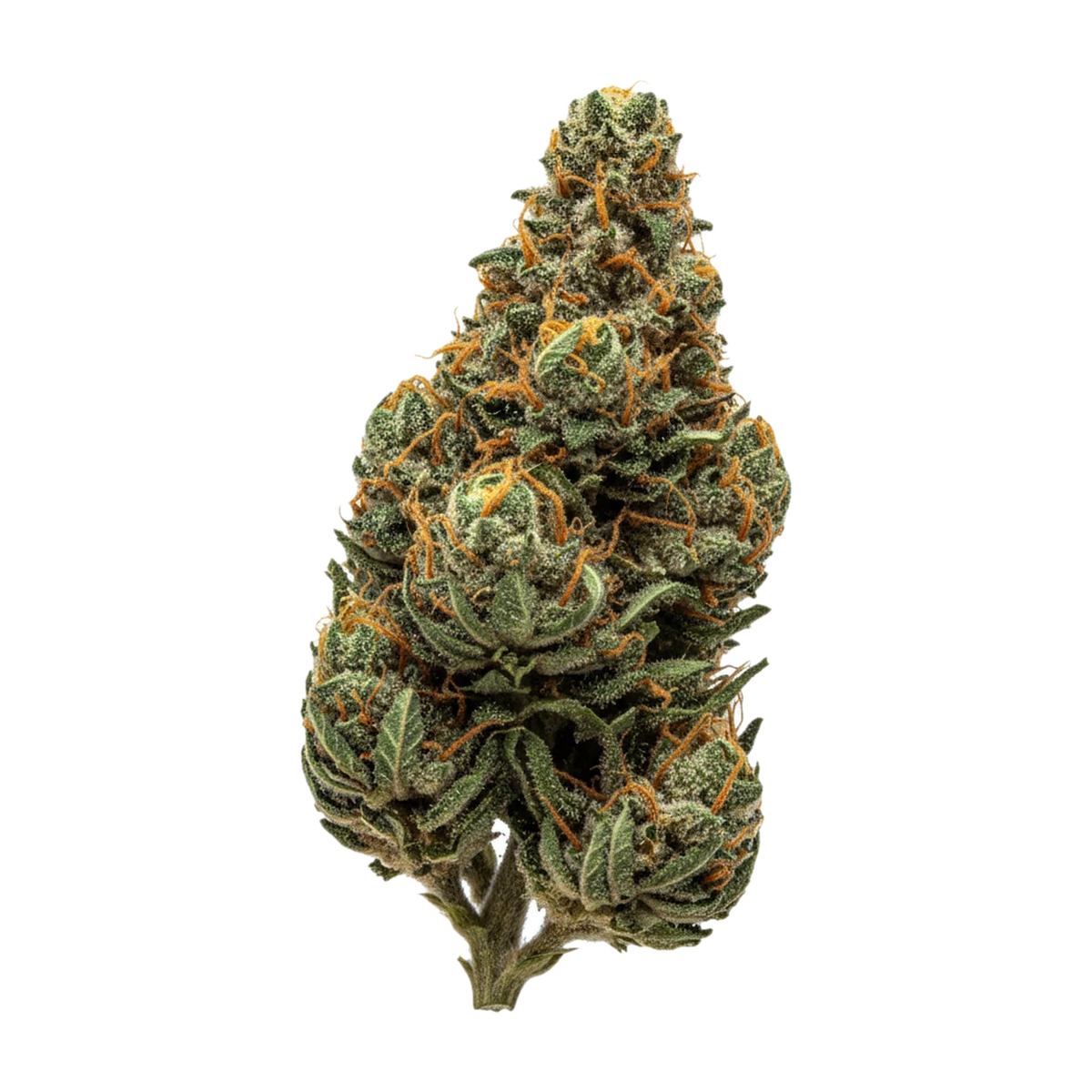 KI-generierte Illustration einer Cannabisblüte, zeigt nicht die tatsächliche Charge – Luana 20/1 Delight CC "Carnez Citric"
