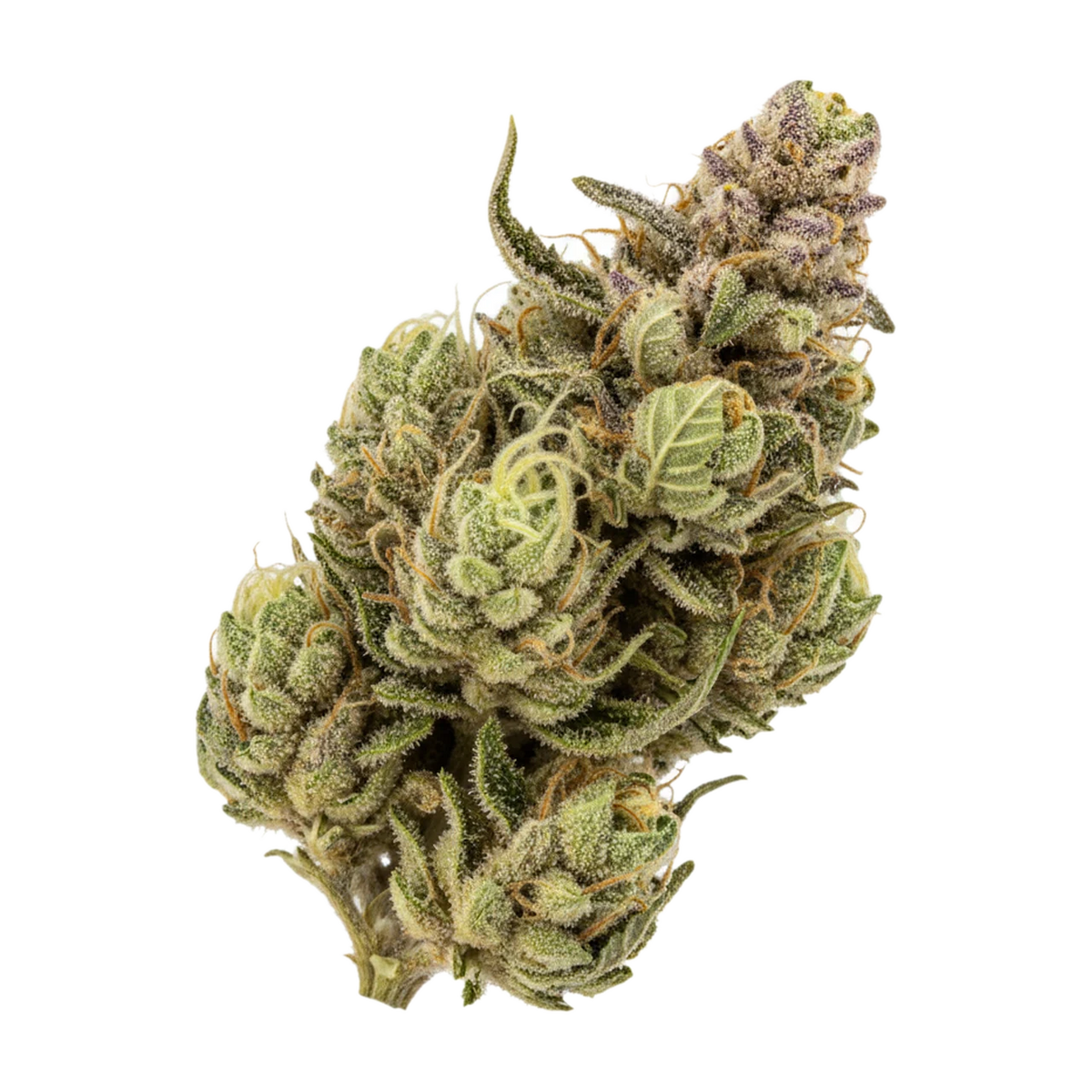 KI-generierte Illustration einer Cannabisblüte, zeigt nicht die tatsächliche Charge – Nova Baby Joker 24/1 "Baby Joker"