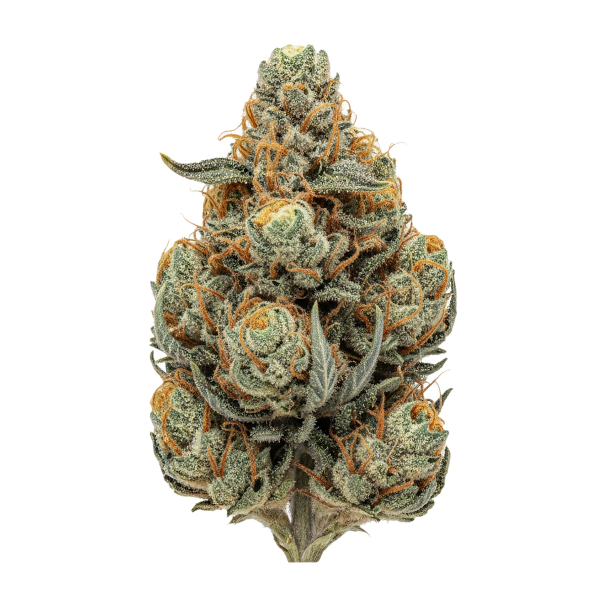KI-generierte Illustration einer Cannabisblüte, zeigt nicht die tatsächliche Charge – Luana 20/1 "Mochi"