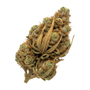 Luana 20/1 Star "Starhaze OG"