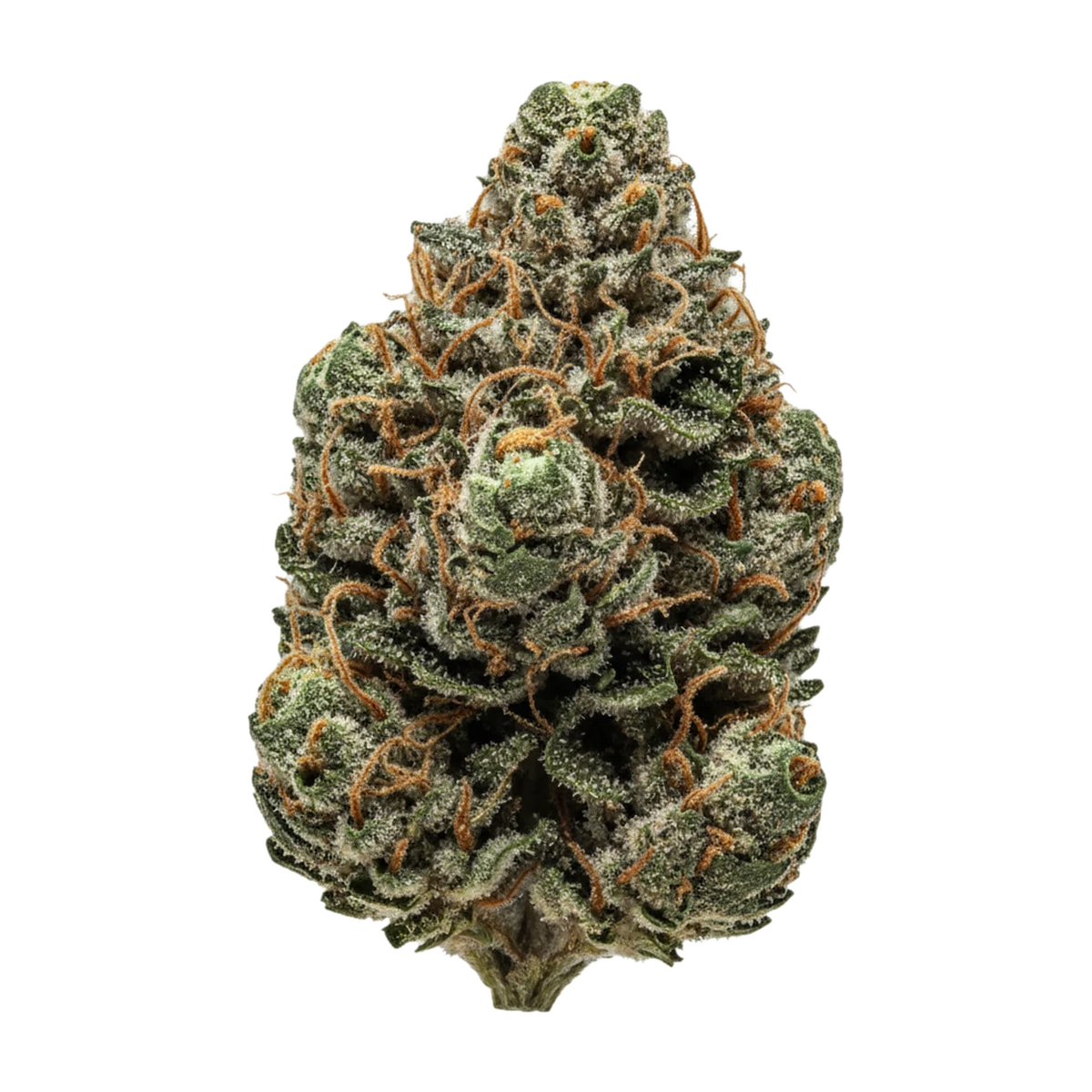 KI-generierte Illustration einer Cannabisblüte, zeigt nicht die tatsächliche Charge – Luana Electric "Bashengo"