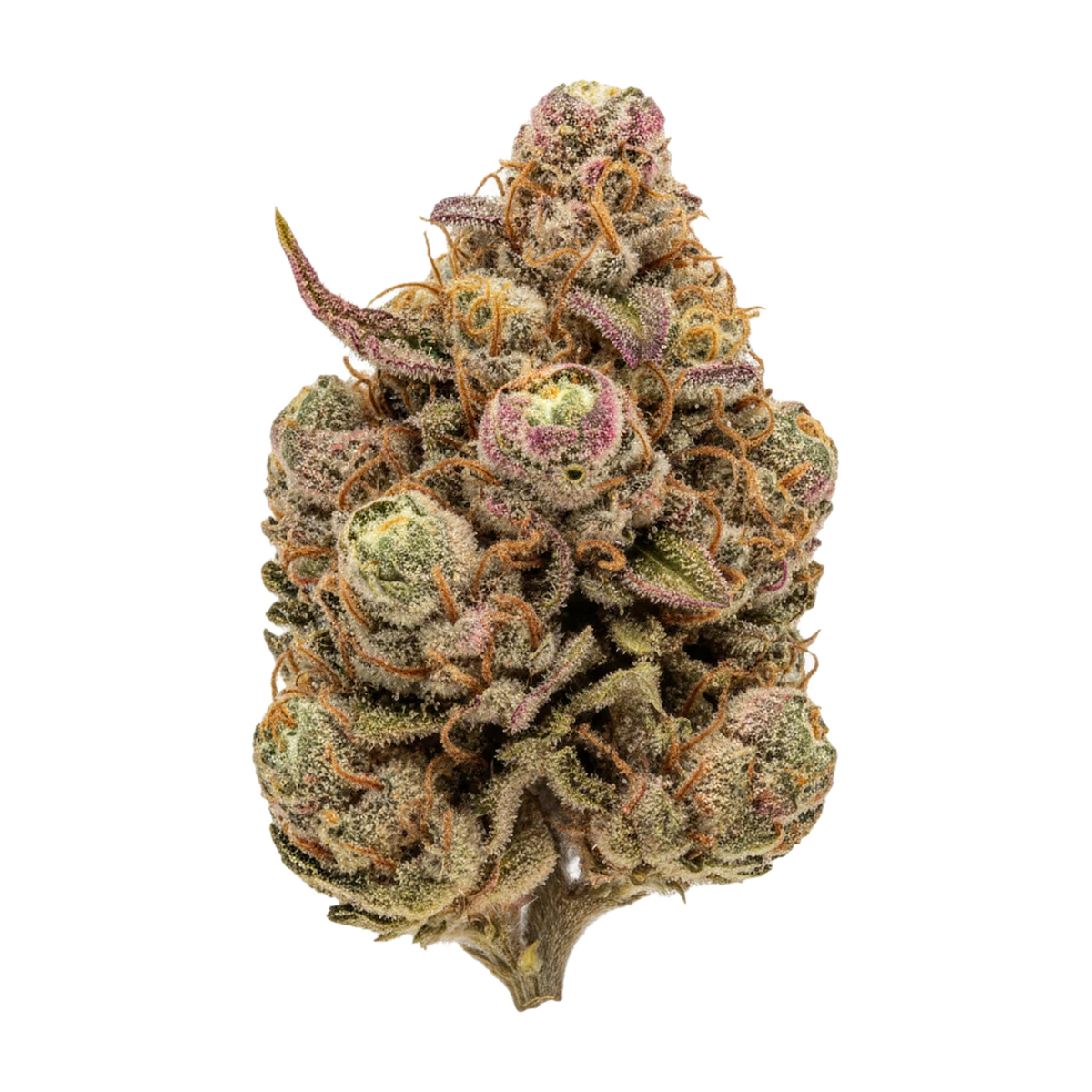 KI-generierte Illustration einer Cannabisblüte, zeigt nicht die tatsächliche Charge – Luana 24/1 Kush "Hippie Kush"